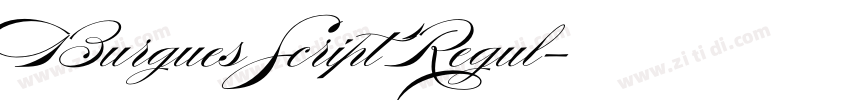 Burgues Script Regul字体转换